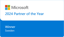 2025 Partner of the Year Winner Sweden